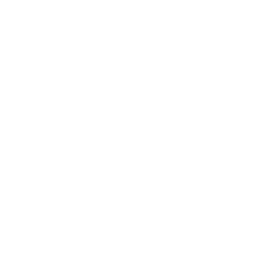 Leroy Merlin