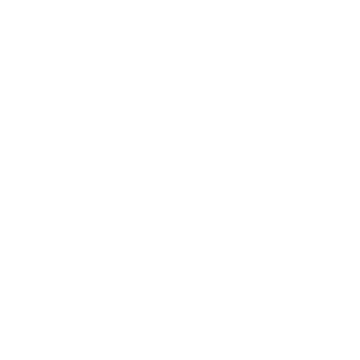 Skoiy